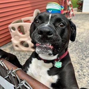 Meet your Posher, Bobby